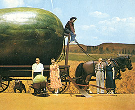 watermelon wagon postcard